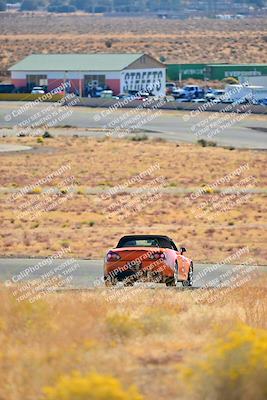 media/Nov-16-2024-Extreme Speed (Sat) [[6587d07cc4]]/Gold Group/Session 1 (Turn 2)/